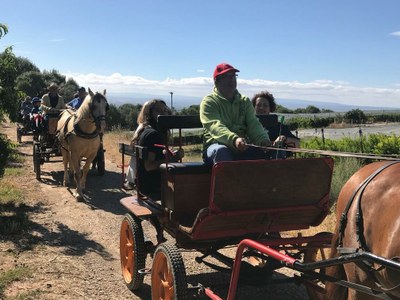 Alcarràs programa la 3a edició de la Ruta de Patrimoni ‘Alcarràs en Fruit’