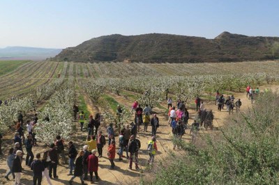 Alcarràs programa la 5a edició de la ruta de patrimoni 'Alcarràs Florit'