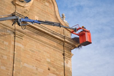 Alcarràs realitza les tasques periòdiques de manteniment de nius de cigonya en col·laboració amb el Departament de Territori, Habitatge i Transició Ecològica