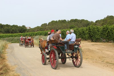 Visita a les finques de fruita dolça d'Alcarràs, al galop